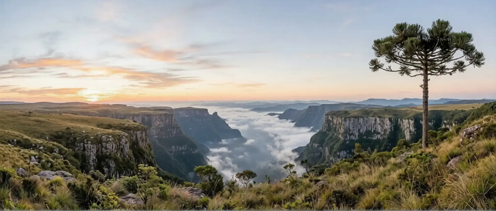 Canyons de Cambará do Sul com Araucária